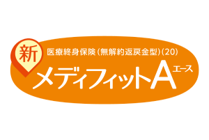 新メディフィットＡ(エース)ライトレディプラン(21)